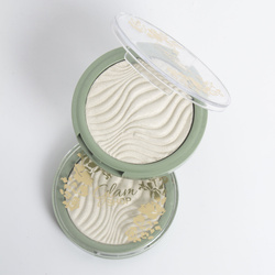 KWIAT PAPROCI -  highlighter - JUTRZENKA