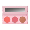 Blush Cheek Palette –FRESH ROSES