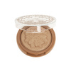 Illuminating & bronizing face powder - ŚNIADY