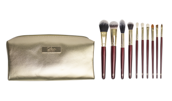 A set of 10 brushes in a cosmetic bag