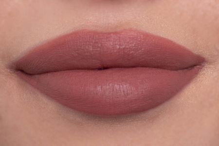 WELUR DO UST - the velvety finish liquid lipstick - TEDDY BEAR NUDE