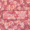 Blush Cheek Palette –FRESH ROSES