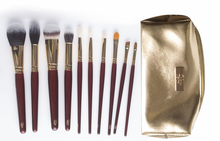 A set of 10 brushes in a cosmetic bag