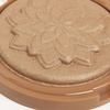 Illuminating & bronizing face powder - ŚNIADY